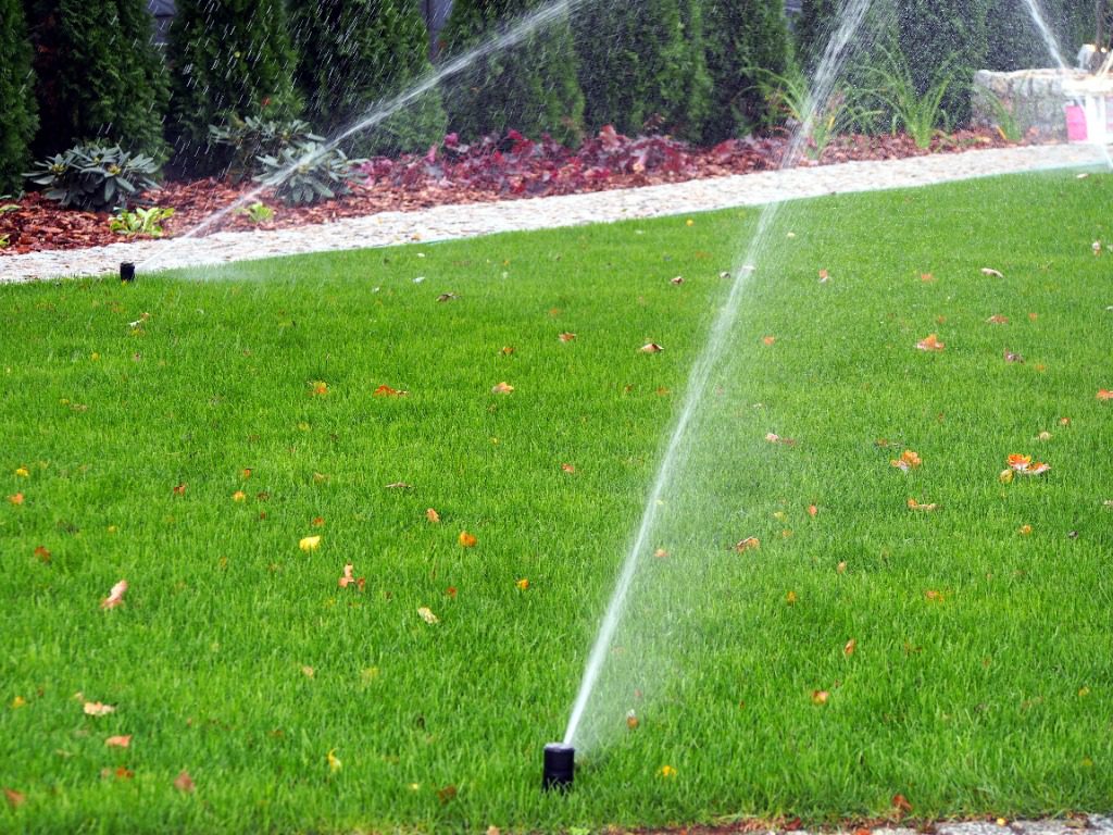 Garden irrigation - working sprinkler